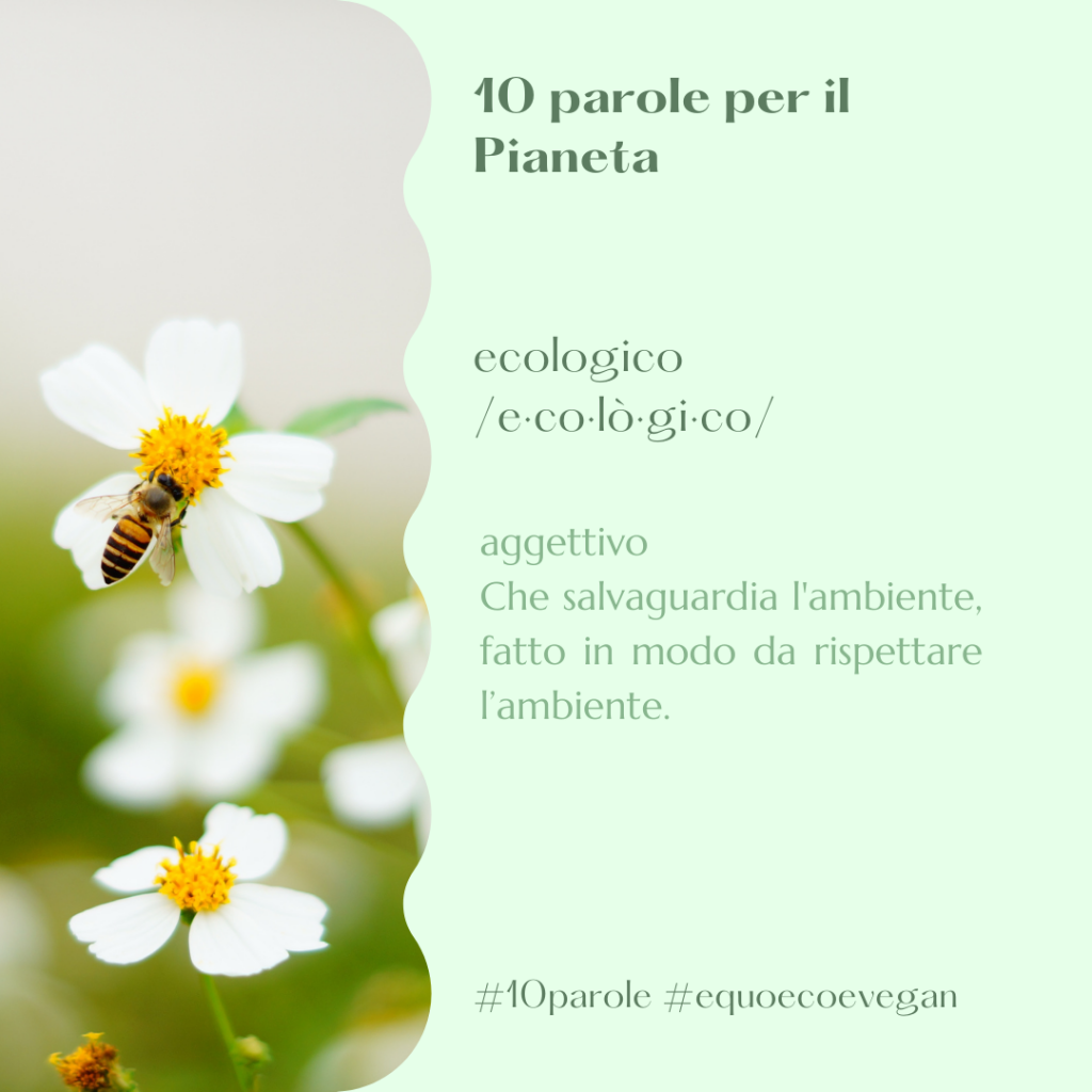 ecologico