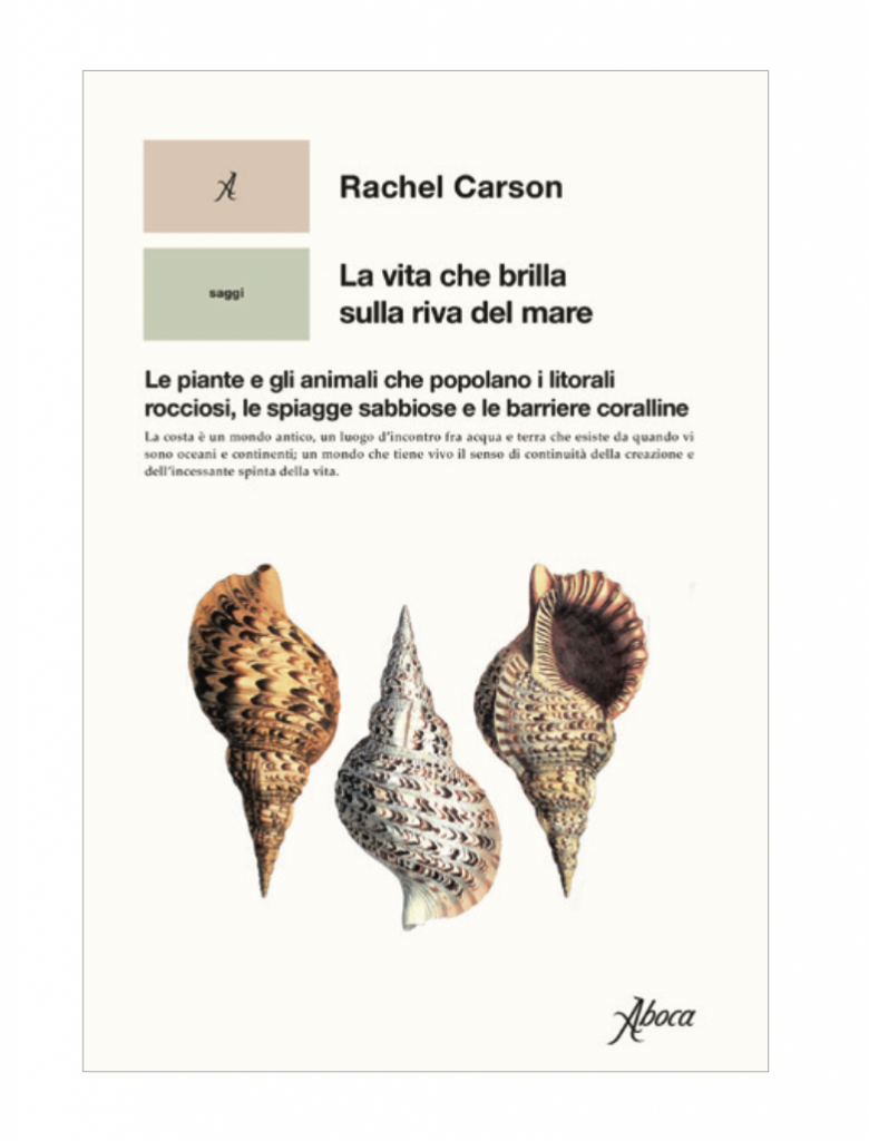 Rachel carson aboca edizioni la vita che brilla sulla riva del mare libro